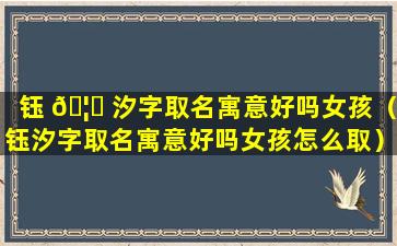 钰 🦄 汐字取名寓意好吗女孩（钰汐字取名寓意好吗女孩怎么取）